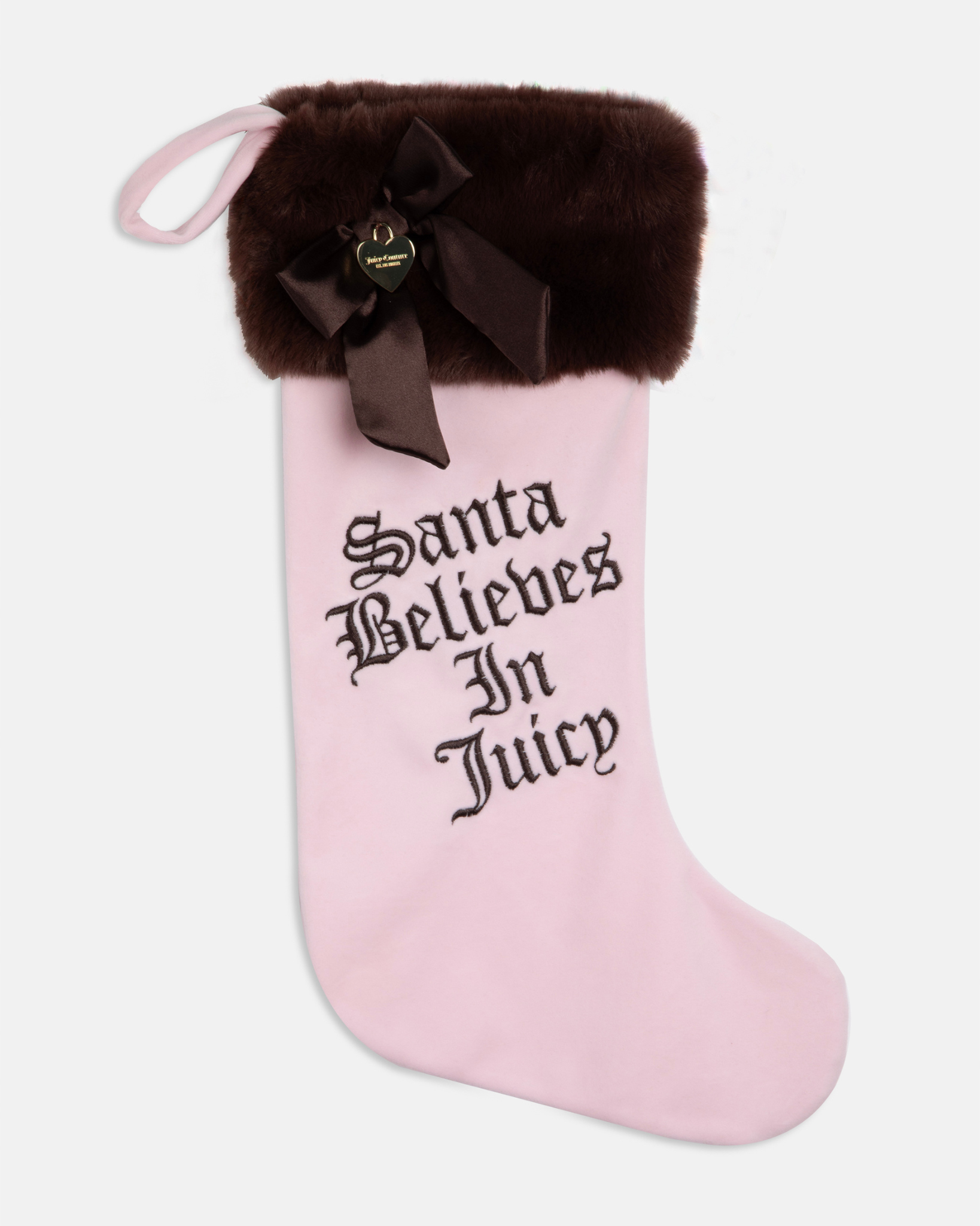 Santa Believes Stocking